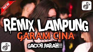 REMIX LAMPUNG GARAM CINA YANG LAGI VIRAL TIKTOK TERBARU 2025 🔥