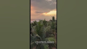 (إِنَّ اللَّهَ وَمَلَائِكَتَهُ يُصَلُّونَ عَلَى النَّبِيِّ ) القارئ ‏ عبدالله الموسى