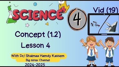 Science Primary 4 First term 2024/25 Concept 1.2 Lesson 4| شرح ساينس سنة رابعة لغات الترم الاول