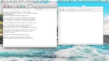 1.1 The R Environment