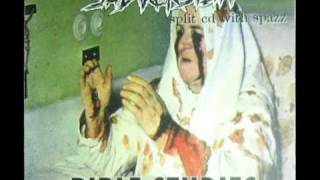 SUBVERSION - Taste for Flesh