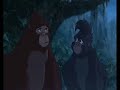 Tarzan - Strangers Like Me