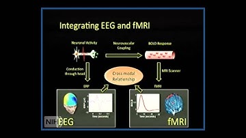 Multimodal Functional Neuroimaging: Part I