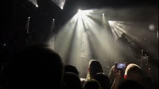 Signs of the Swarm - Natural Selection