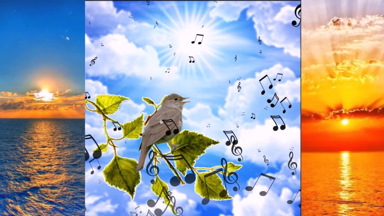 Ностальгия об утренней заре Дзержинск ниж,обл - Песни под гитару ...