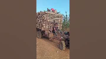 xe công nông chở củi muồng. #shots #xecongnong2cau #youtube #Xecongnongmini