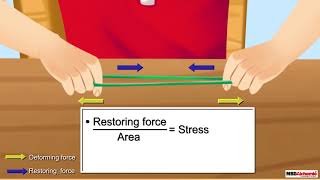 Stress Strain Curve | Mechanical Properties of Solids | AASOKA