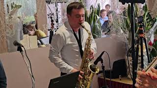L'UBRIACONA polka di Marani eseguita da MATTIA MACCI alla festa di RADIO DELTA di FIORELLA CASADEI by tiziofolk 363 views 5 days ago 3 minutes, 2 seconds