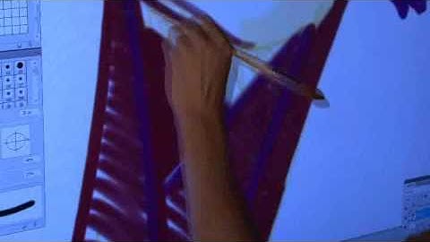 NextWindow Artists on Touch Screens: Steven.wmv