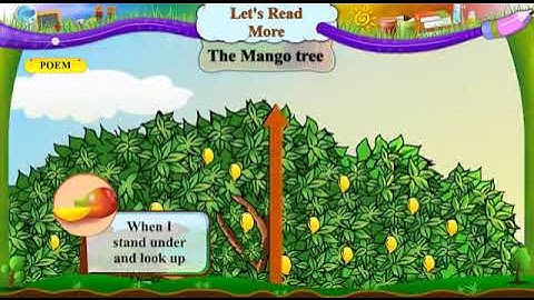 Std -6, Poem - The Mango Tree