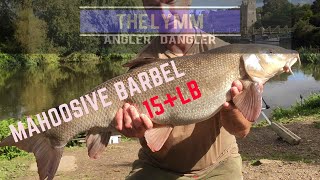 River Trent: Bobs Island Mahooosive 15lb+ Barbel - New PB