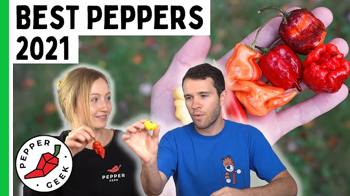 Best Pepper Varieties We Grew in 2021 - Pepper Geek