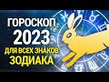ЧТО НАС ЖДЁТ В 2023: гороскоп на год Кролика для всех Знаков Зодиака