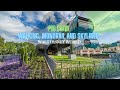 Disney Resorts Pub Crawl (Monorail, Skyliner and Walking!)