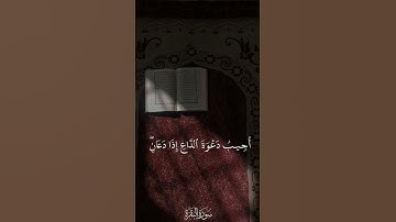 سوره البقره | الشيخ أحمد العجمي 🔥❤