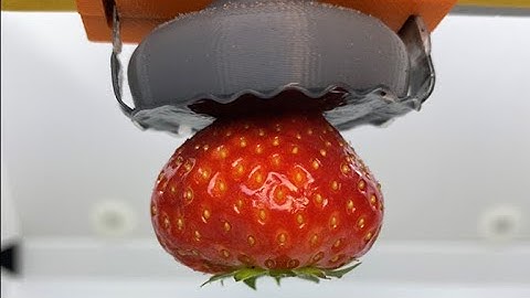 A Soft Gripper with Granular Jamming and Electroadhesive Properties