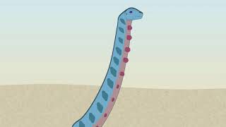 Dreadnoughtus Animation Test