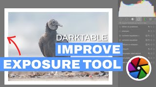 Improve the Exposure Checking Tool in Darktable