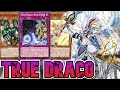 True Draco: The Ultimate Budget Deck for Competitive | Yu-Gi-Oh! Master Duel