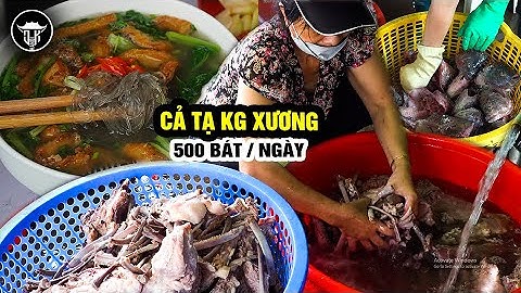 Bún cá cực chất của nàng dâu đảm đất Từ sơn dùng nửa tạ xương 1 ngày #Hanoifood