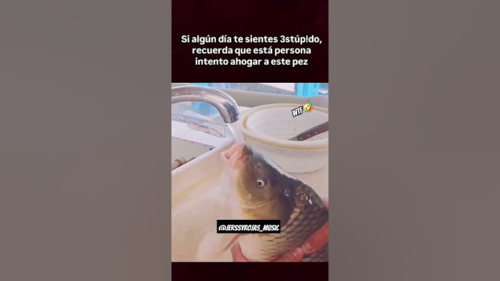 Intentó ahogar un pez 🐟 🤣 #pez #peces #videoschistosos #videosgraciosos #humor #risa #comedia #fypp