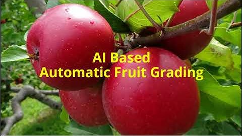 AI Based Automatic Fruit Grading