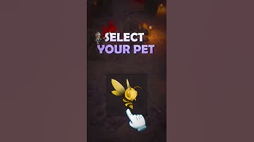 DungeonKnight 9x16 002 en 19s snr