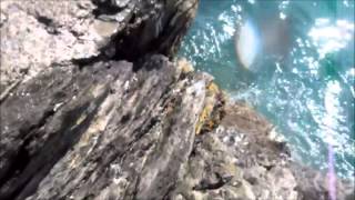 Jumping in Looe, Cornwall