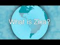 Zika Virus 101