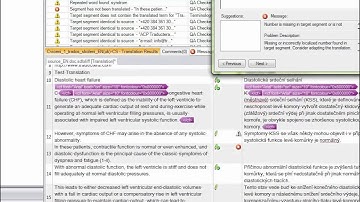 SDL Trados 2011 - QA Checker 3.0 - How to correct mistakes