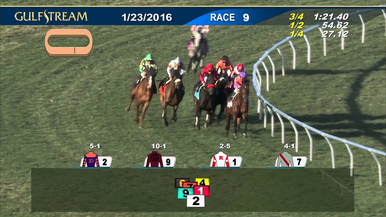 Gulfstream Park Race 9 | January 23, 2016