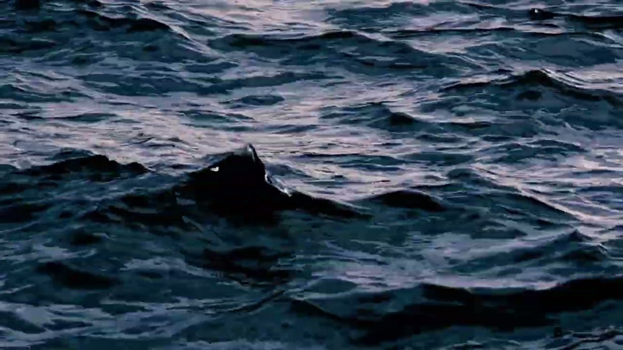 𝐃𝙅 𝐋𝐔𝐏𝐀𝐑𝕆 - Think [Melodic techno]