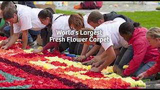 Most Awaited Teaser !! Flower of Tolerance 2019