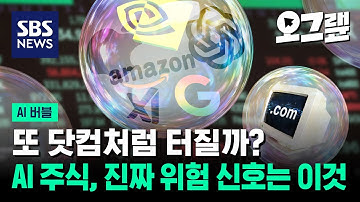 또 닷컴처럼 터질까? AI 주식, 진짜 위험 신호는 이것 / 오그랲 / SBS