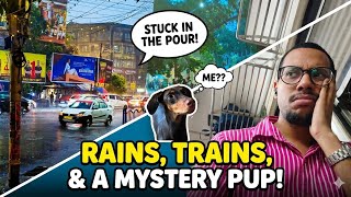 Rain Train &amp; A Mystery Pup😂 🐶#fylpシviralシ #youtubevlog #creator #trending #asmr #charlie #doberman 