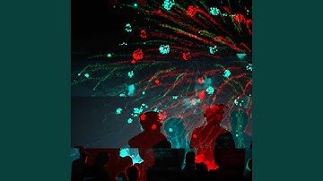 Stylish Backdrops for Literally Powers