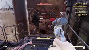 Fallout 76 glitch
