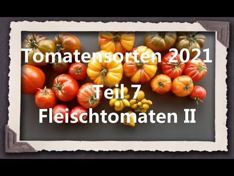 Video: White Beauty Tomato Info - Erfahren Sie mehr über den Anbau von White Beauty Tomaten