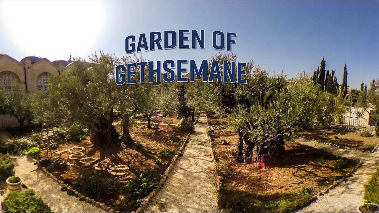 Virtual Tour Garden Of Gethsemane Youtube