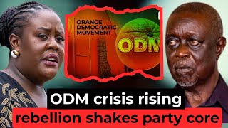 Winnie Odinga Shocks Odm As She Questions Oburu In Fiery Rebellion