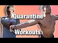 Quarantine Workouts W/ Odie!