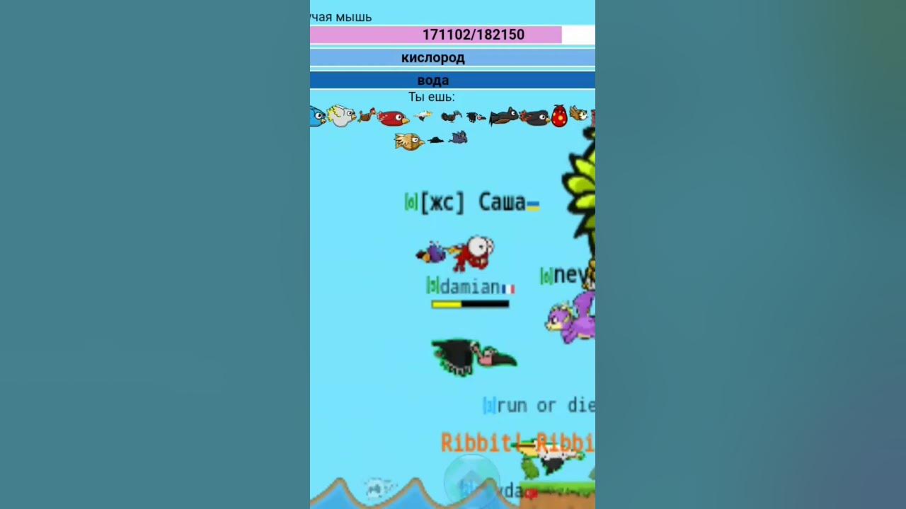 Флай ор дай ига для детей - YouTube