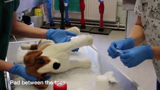 Limb bandage and splint