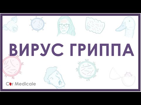 Вирус гриппа - микробиология, виды, симптомы, диагностика, вакцинация, лечение