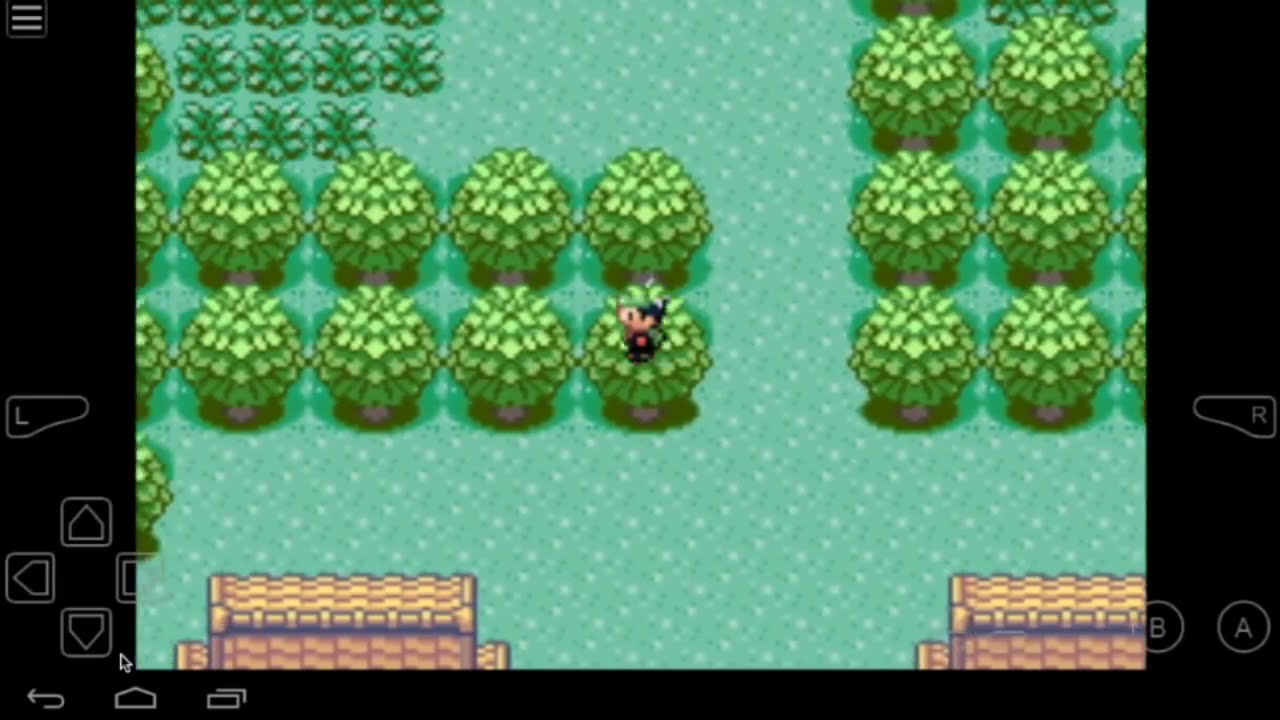 Pokemon Emerald Walk Through Walls Cheat