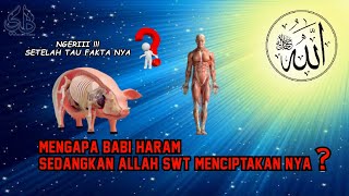 BUKTI ILMIAH MENGAPA BABI DIHARAMKAN DALAM ISLAM