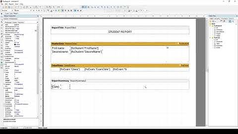 C++ Builder - Generating reports using Fast Report