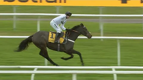 Constitution Hill is a FREAK! Nicky Henderson's star bolts up in the Fighting Fifth!
