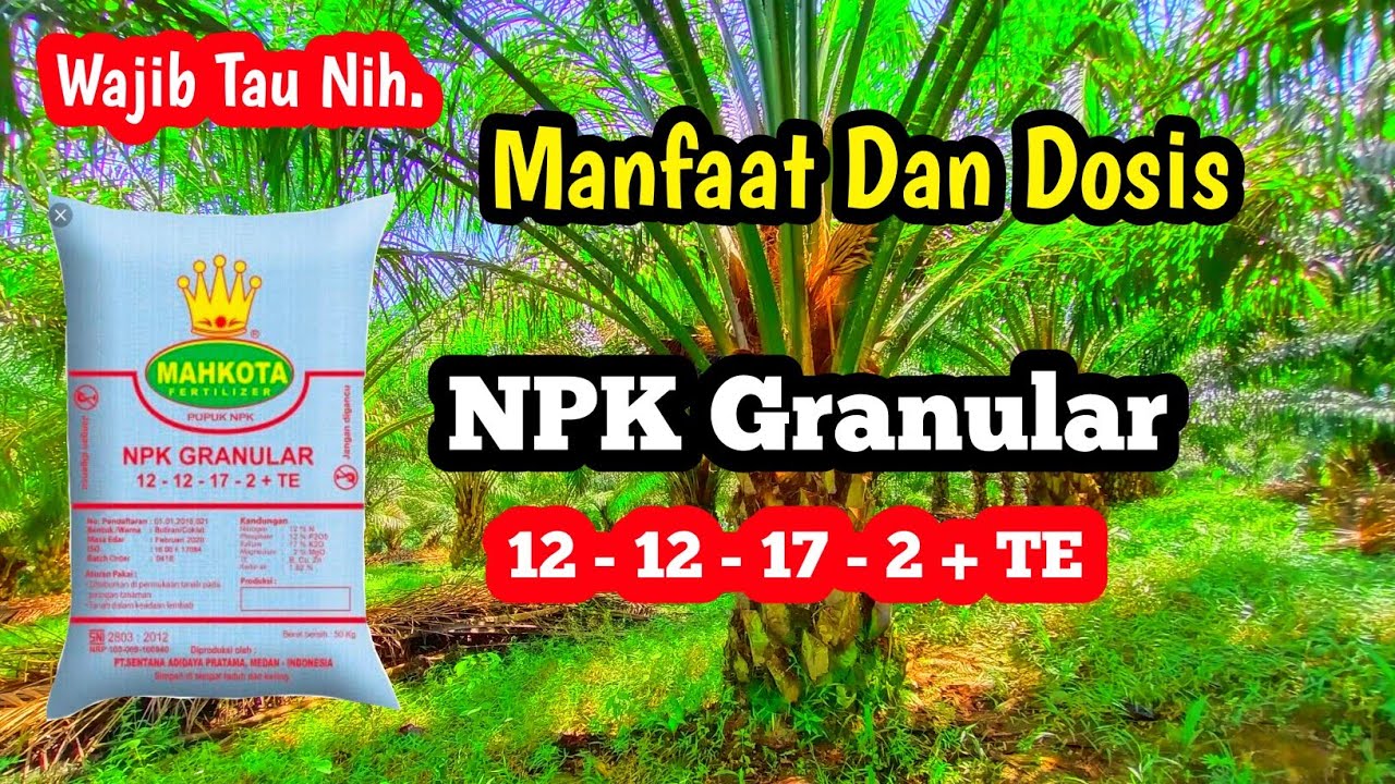 Manfaat Dan Dosis Pupuk NPK Granular 12 12 17 2 TE Untuk Kelapa manfaat-dan-dosis-pupuk-npk-granular-12-12-17-2-te-untuk-kelapa