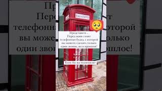 Кого бы вы выбрали?